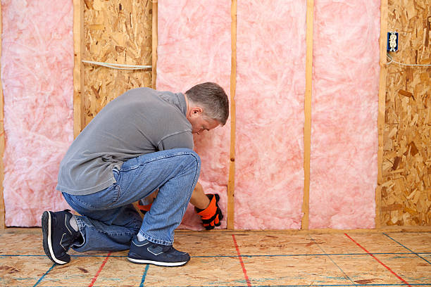 Best Insulation Air Sealing  in Shakopee, MN